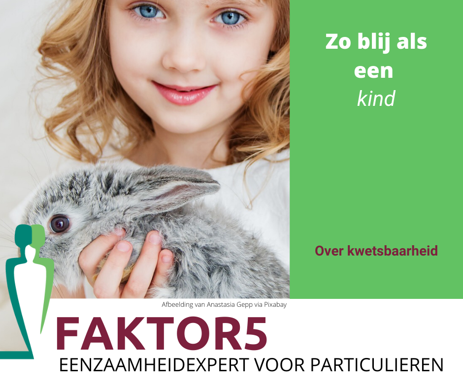 Faktor5 post kwetsaarheid PATICULIEREN